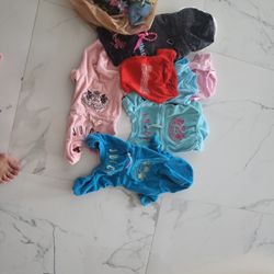 Dog Clothes And accessory