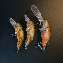 Three Craw Fish Lot 2 Rebel Shallow and Bagley’s Deep 