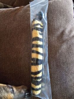 Schwinn LilTiger. Exxon tiger tail/read