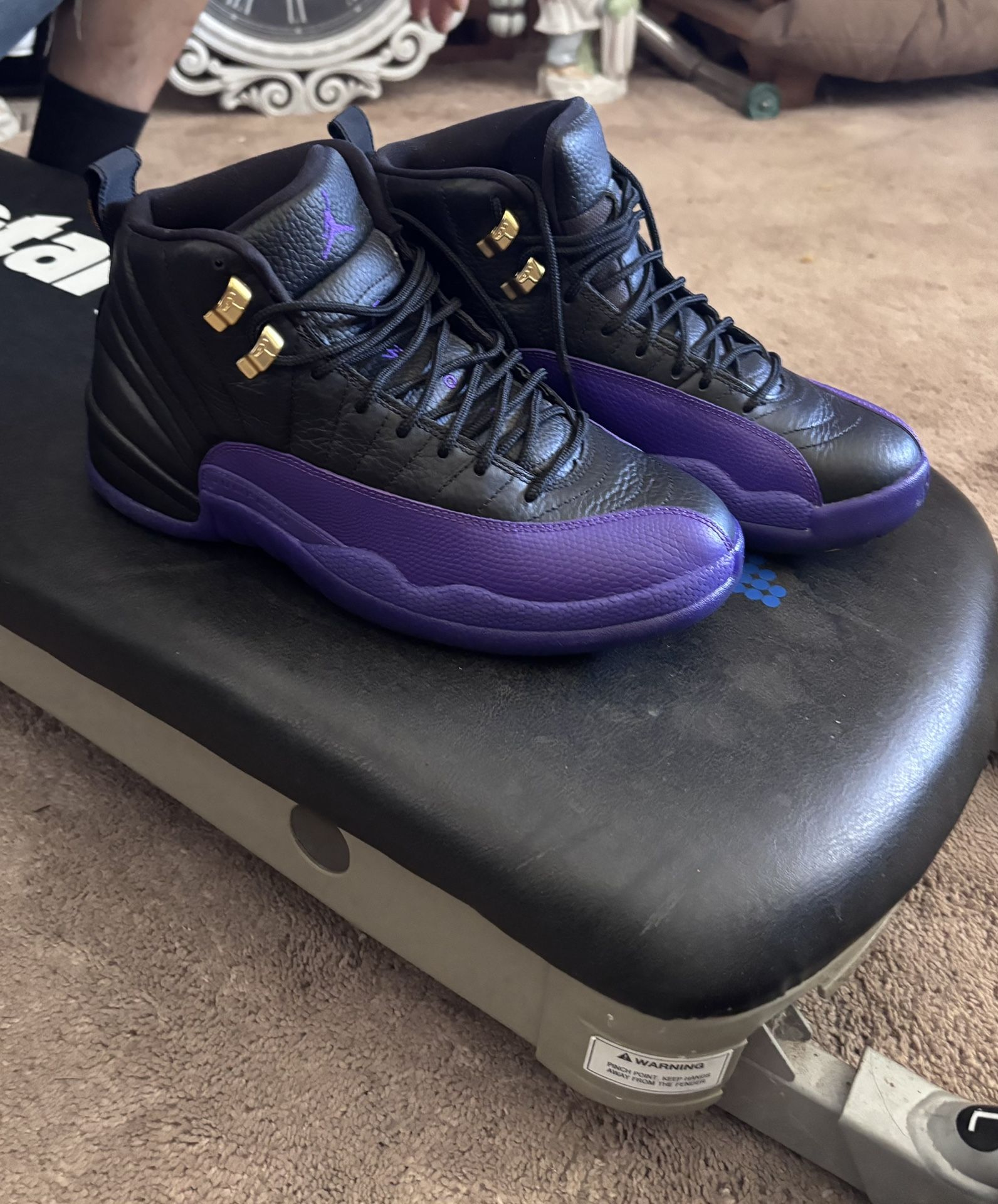 Jordan Retro 12’s Field Purple