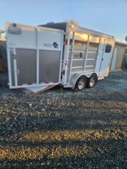 2022 Horse Trailer