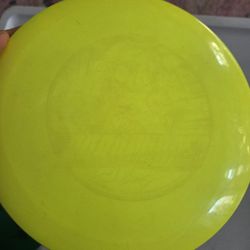 Disc Golf Roadrunner