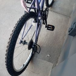 Mountain Bike Or Normal 