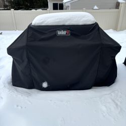 Weber Propane Grill 