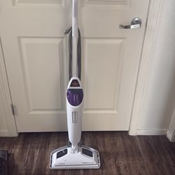 Bissell steamer