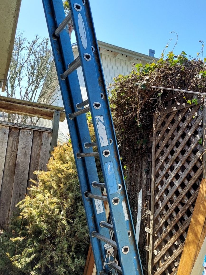 24 Foot Ladder