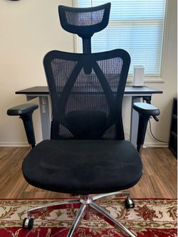 Ergonomic Office Chair