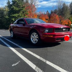 2008 Ford Mustang