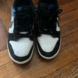 Jordan Dunks Nas