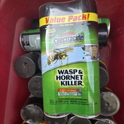 Aerosol Spray Killer 