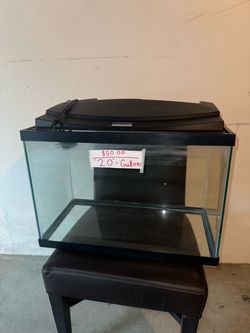 20 Gallon Fish Tank