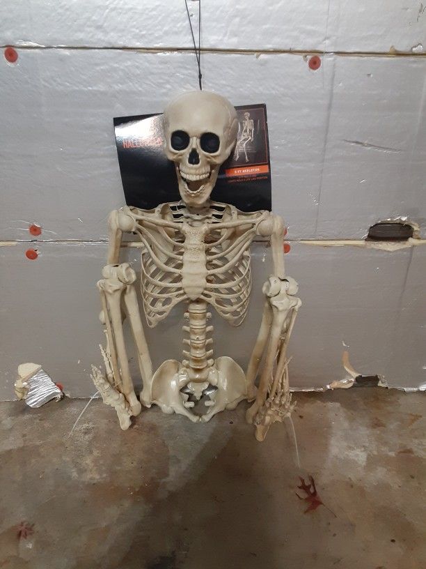 5ft Skeleton