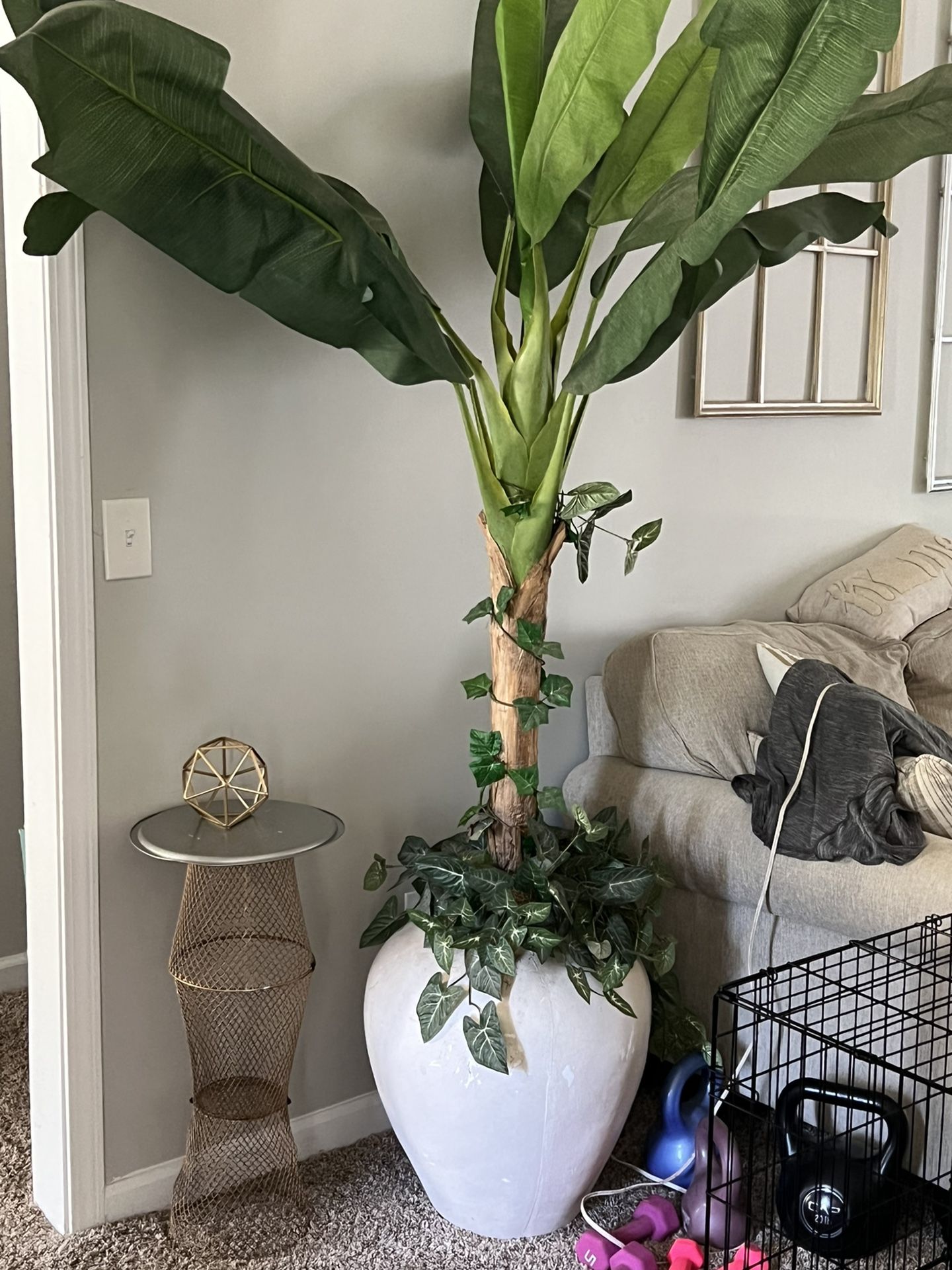 Huge banana tree