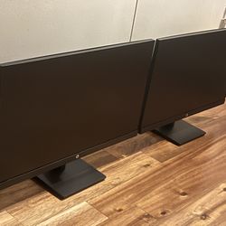 HP 24” Monitors