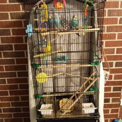 4 Beautiful Parakeets Come With Cage On Stand With Rollers 