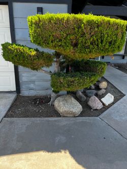 Landscaping decor