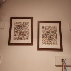 Set Of 2 Vintage Framed Floral Art