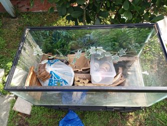 Glass Aquarium