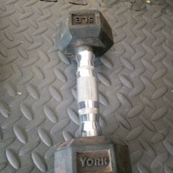 5 Pound Dumbbell