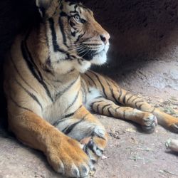 San Diego Zoo Tickets