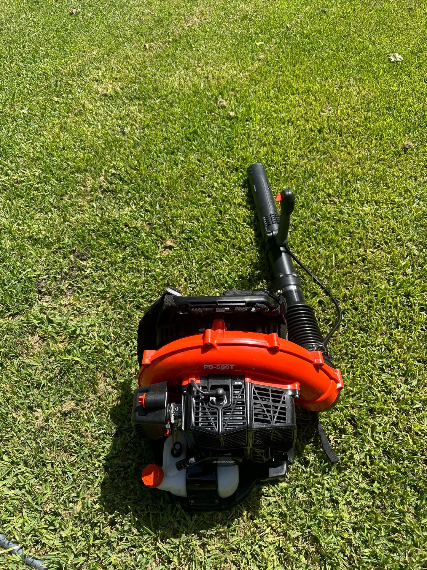 Echo backpack blower