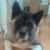 Riley