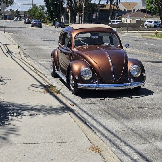 Vw Bug Oval Ragtop