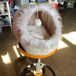 FREE Cat Bed