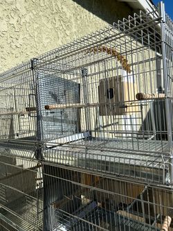Breeder bird cages