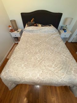 Reversible Paisley and Striped Queen Comforter