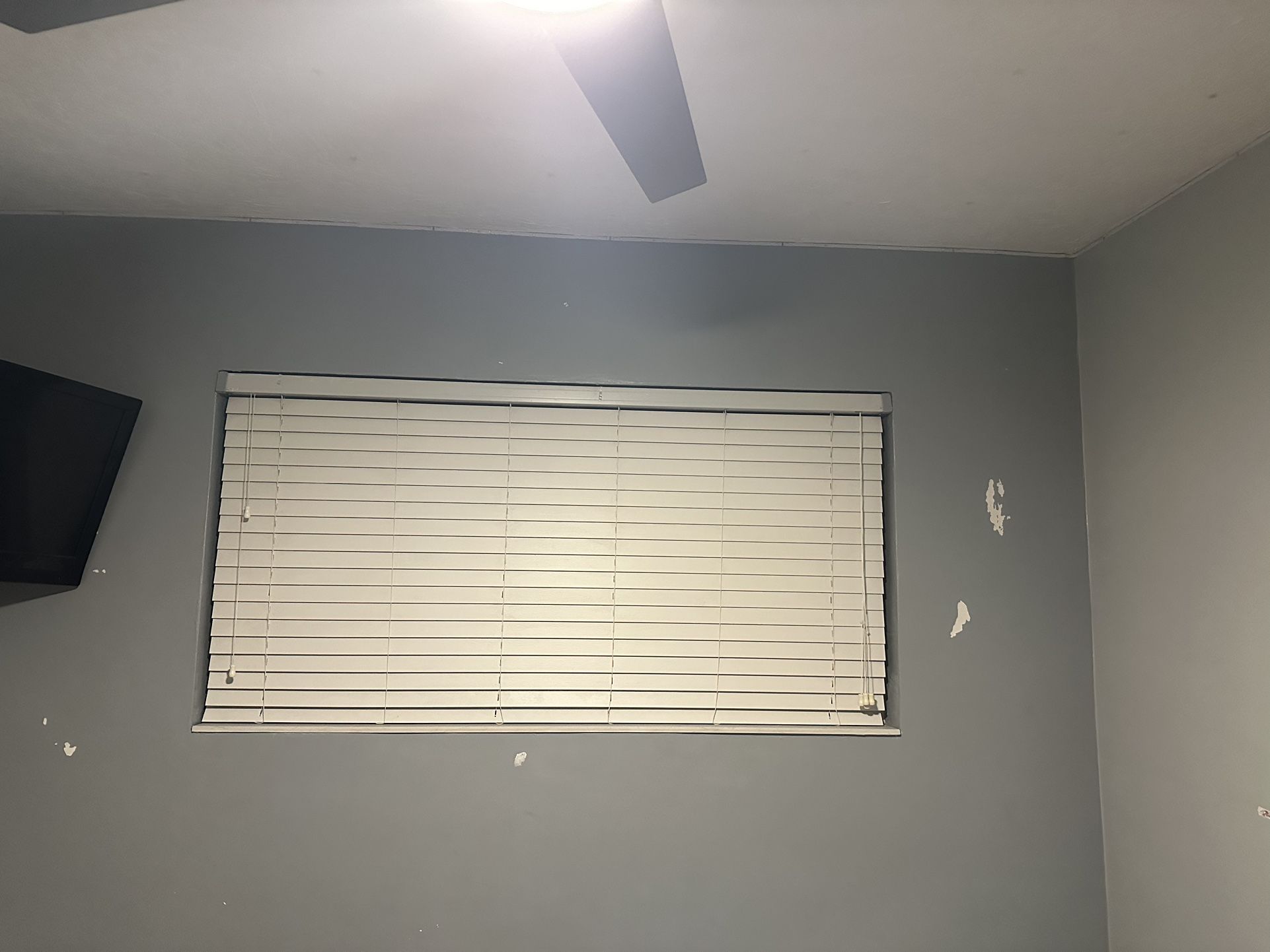 Window Blinds
