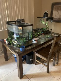Wooden Table And 8 Chairs Set (NEED GONE ASAP MOVING)