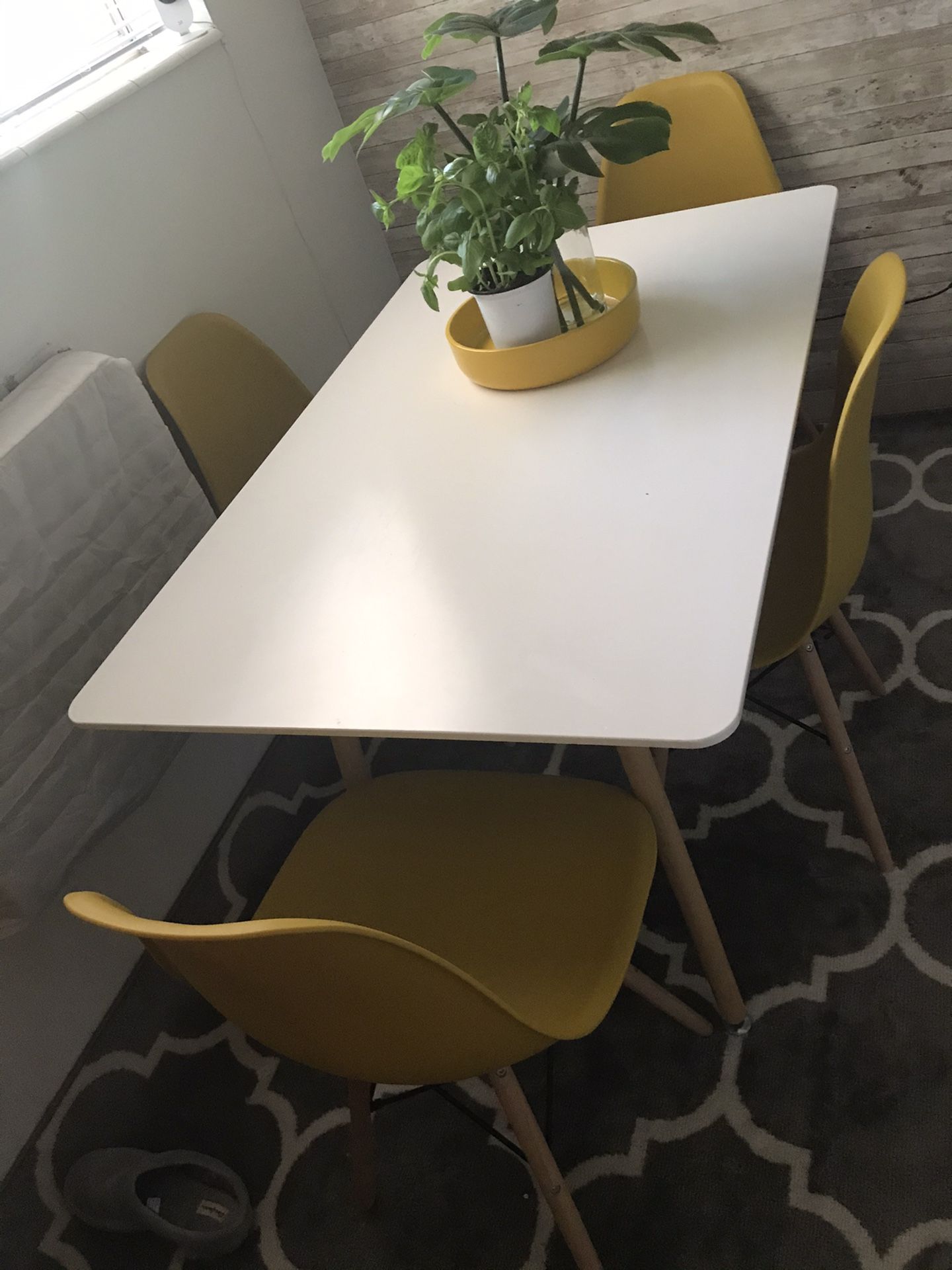 Modern yellow dining room chairs