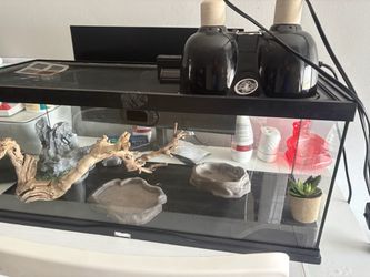 Reptile Tank Enclosure with Zoo Med Lamps