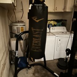 Everlast Heavy Bag