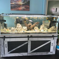 180 Gallon Acrylic AQUARIUM FOR SALE! 