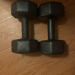 weights 10 Lb