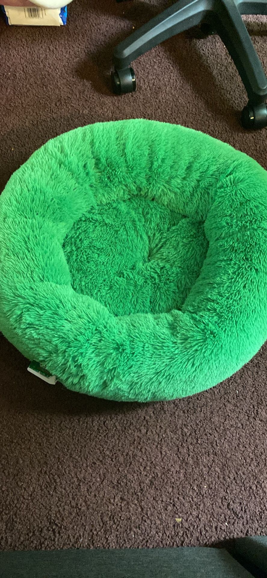 Play On Dog Bed