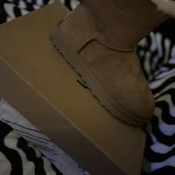 Uggs 