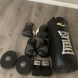 Punching Bag/Stand/Gloves