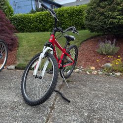 Jamis Kids bike