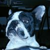 victor
