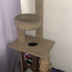 Cat Towers 5 1/2 Foot