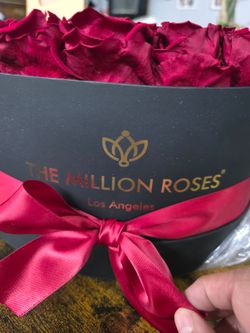 The Million Roses Preserved Rose Box