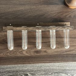 Hanging Succulent Glass/Wood Propagation Holder