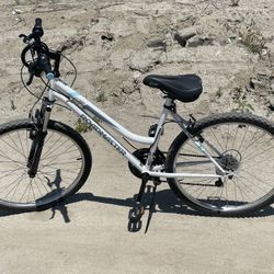Roadmaster Bike