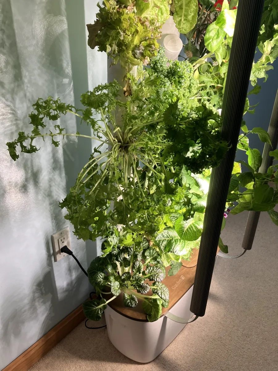 3.0 Smart Hydroponics Gardyn