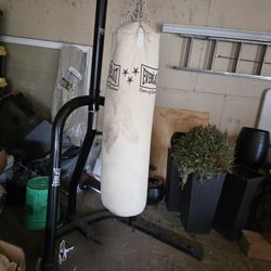 Punching Bag 