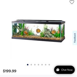 60 Inch Tank 2 Months Used  (PETCO)
