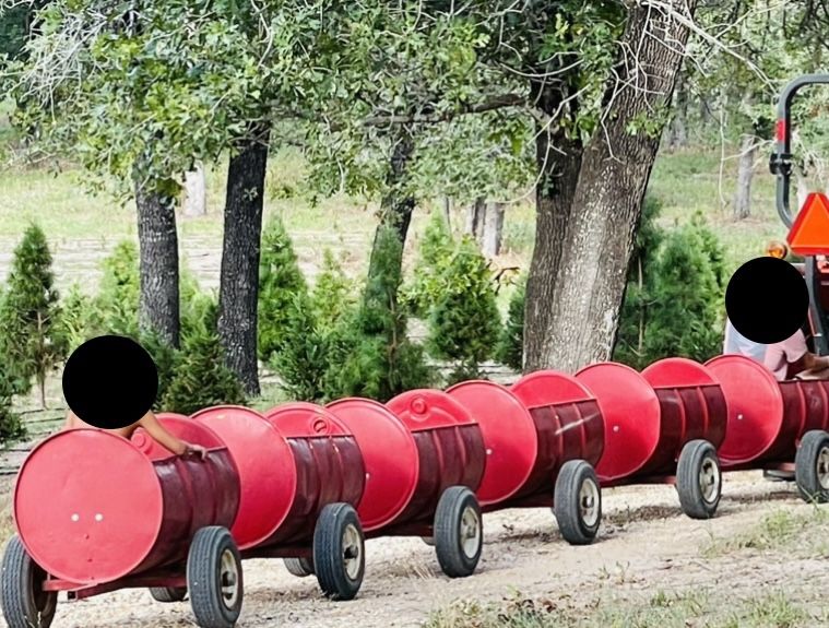 Barrel Train